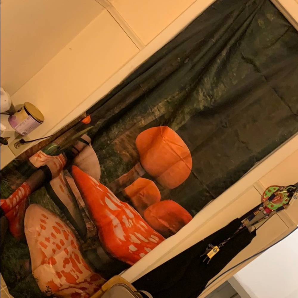 Window curtains - Picture 2 of 8